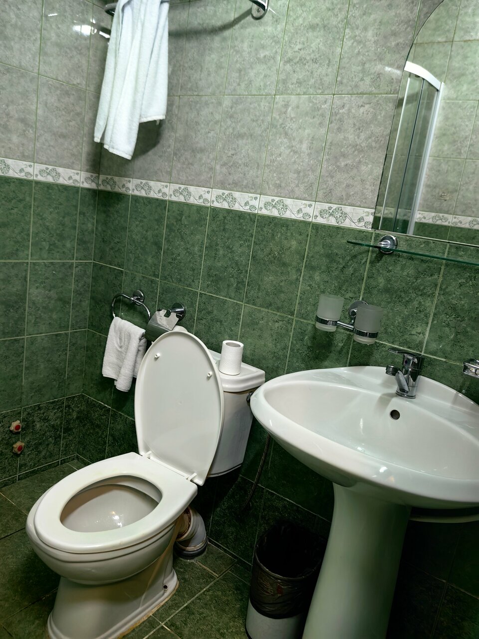 Гостиница Кадгарон Владикавказ-123