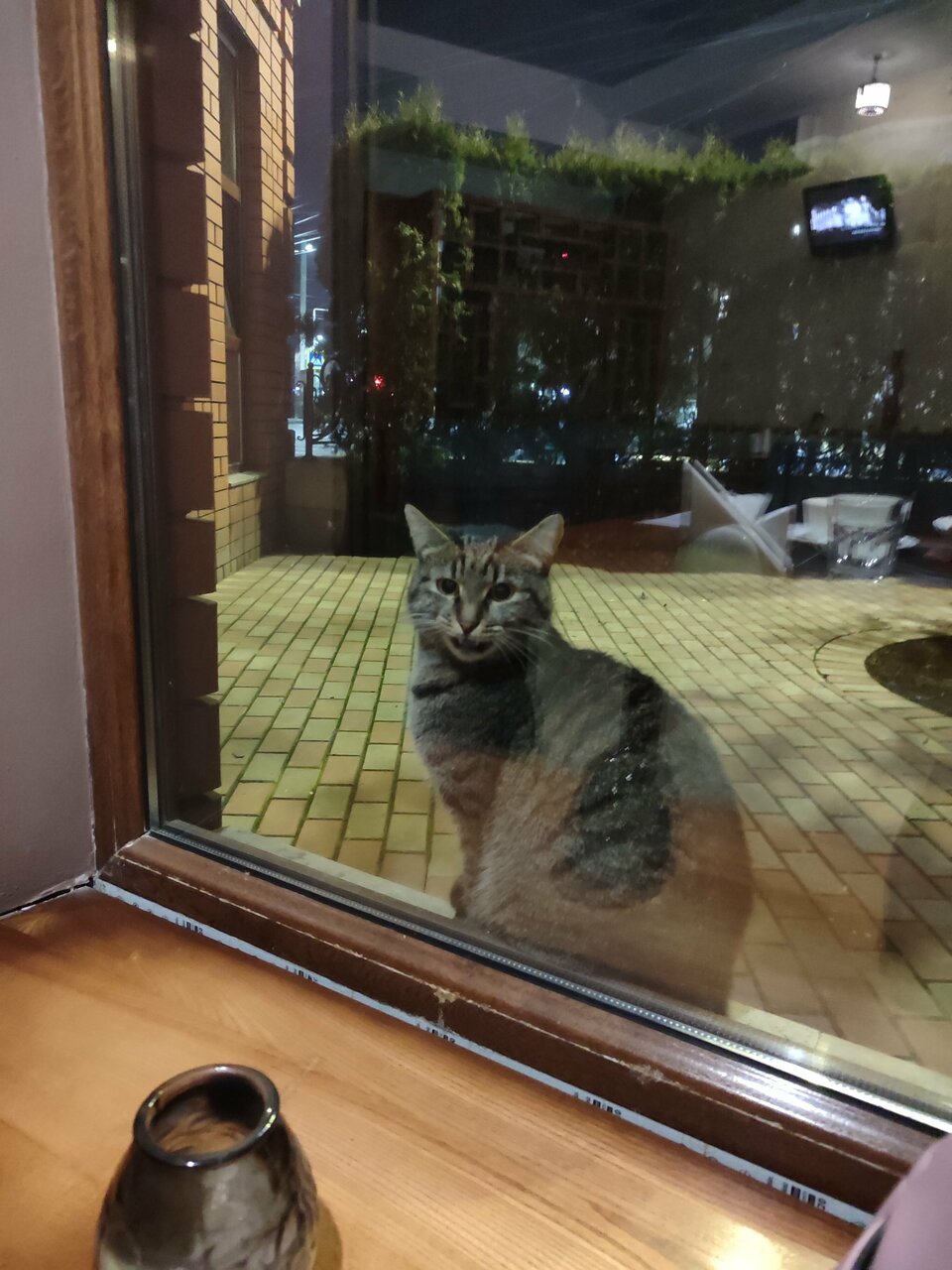 Гостиница Кадгарон Владикавказ-132