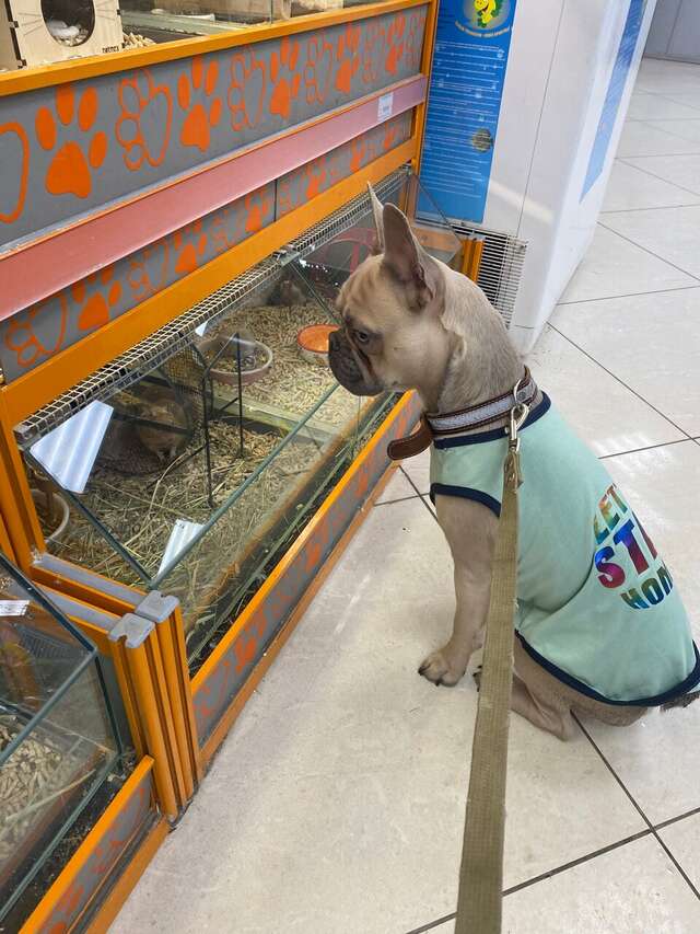 Гостиница Кадгарон Владикавказ-148